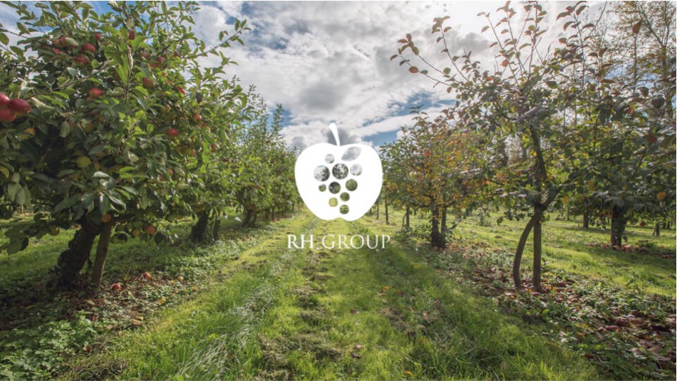 Providing IT support to Richard Hochfeld in Kent