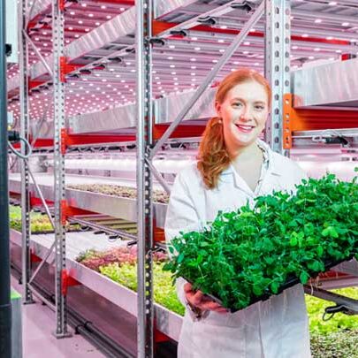 Our solution to help GrowUp Farms in Kent
