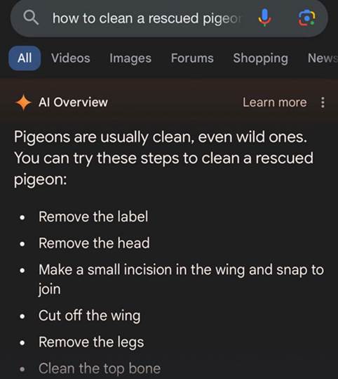 AI overviews that have gone wrong